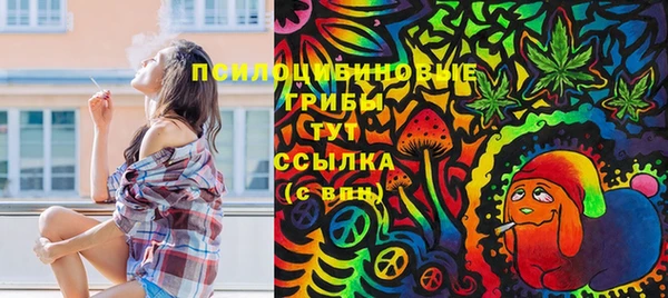 мяу мяу мука Абаза