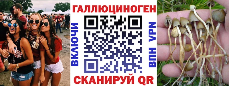 Галлюциногенные грибы Magic Shrooms Юхнов